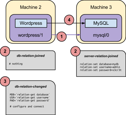 wordpress-mysql-relation-workflow